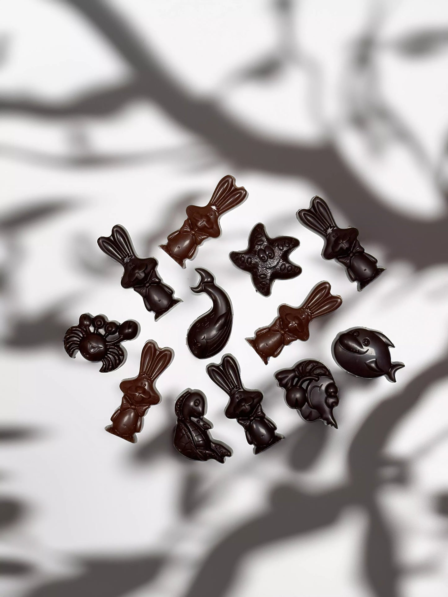 Friture Terre et Océan