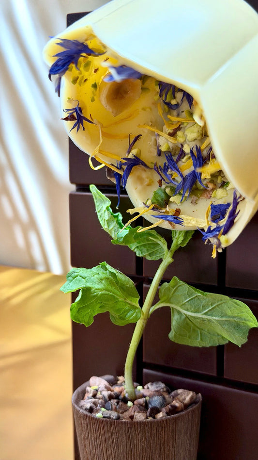 Bouquet de saison